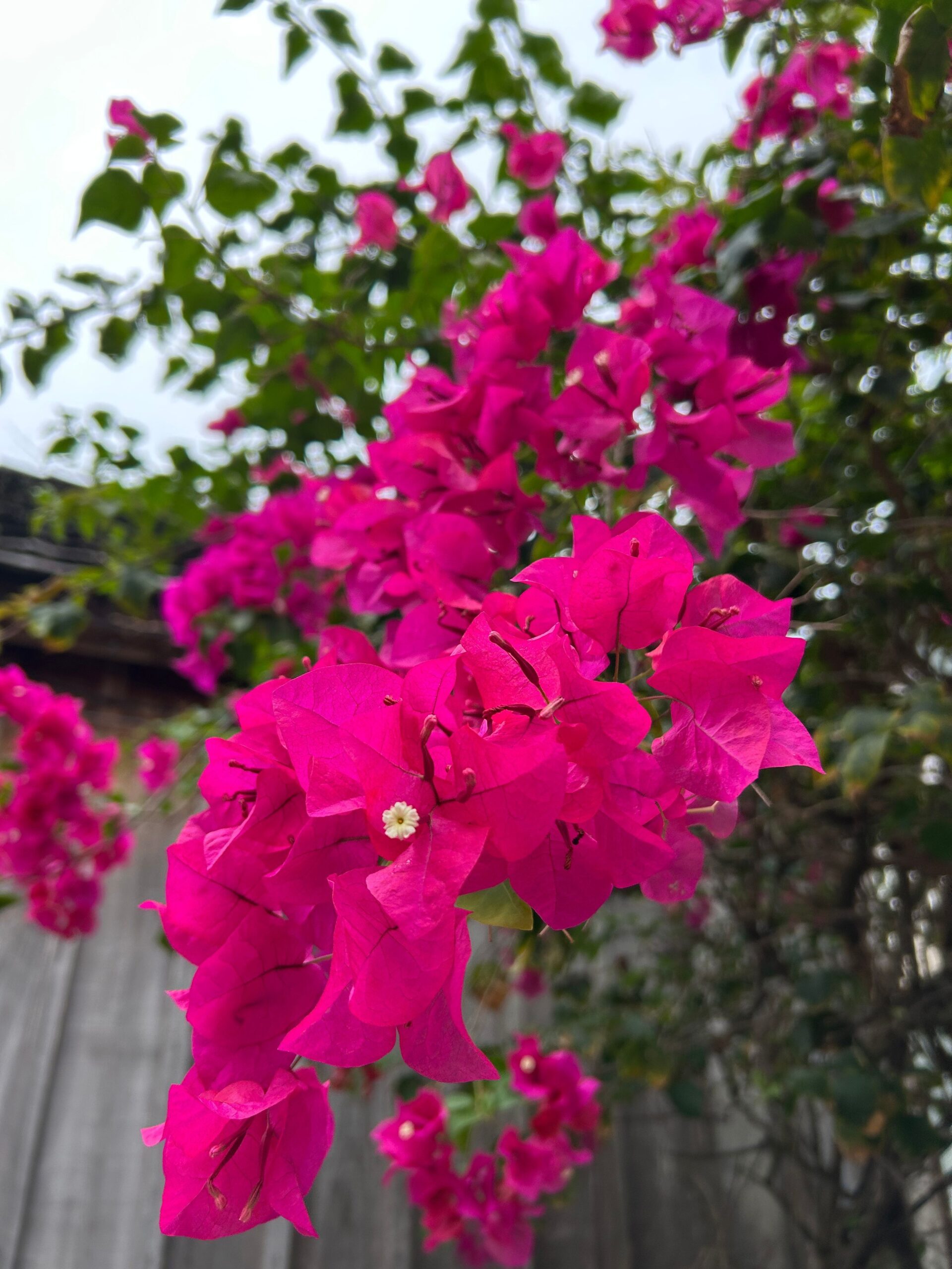 Top 10 Common Mistakes That Lead to Breakdowns in Communication