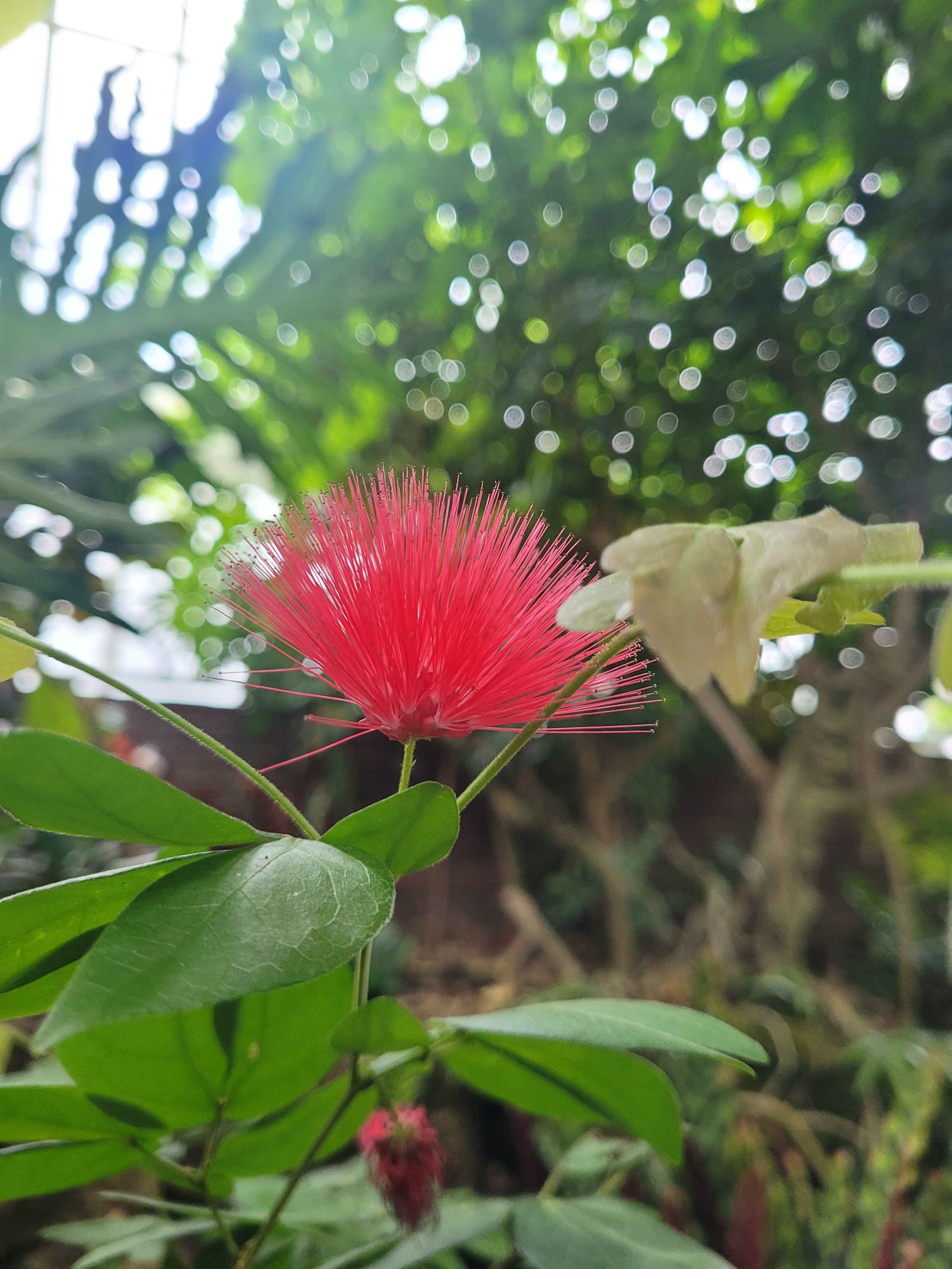 Using Your Voice: 15 Essential Tips for Good Vocal Hygiene