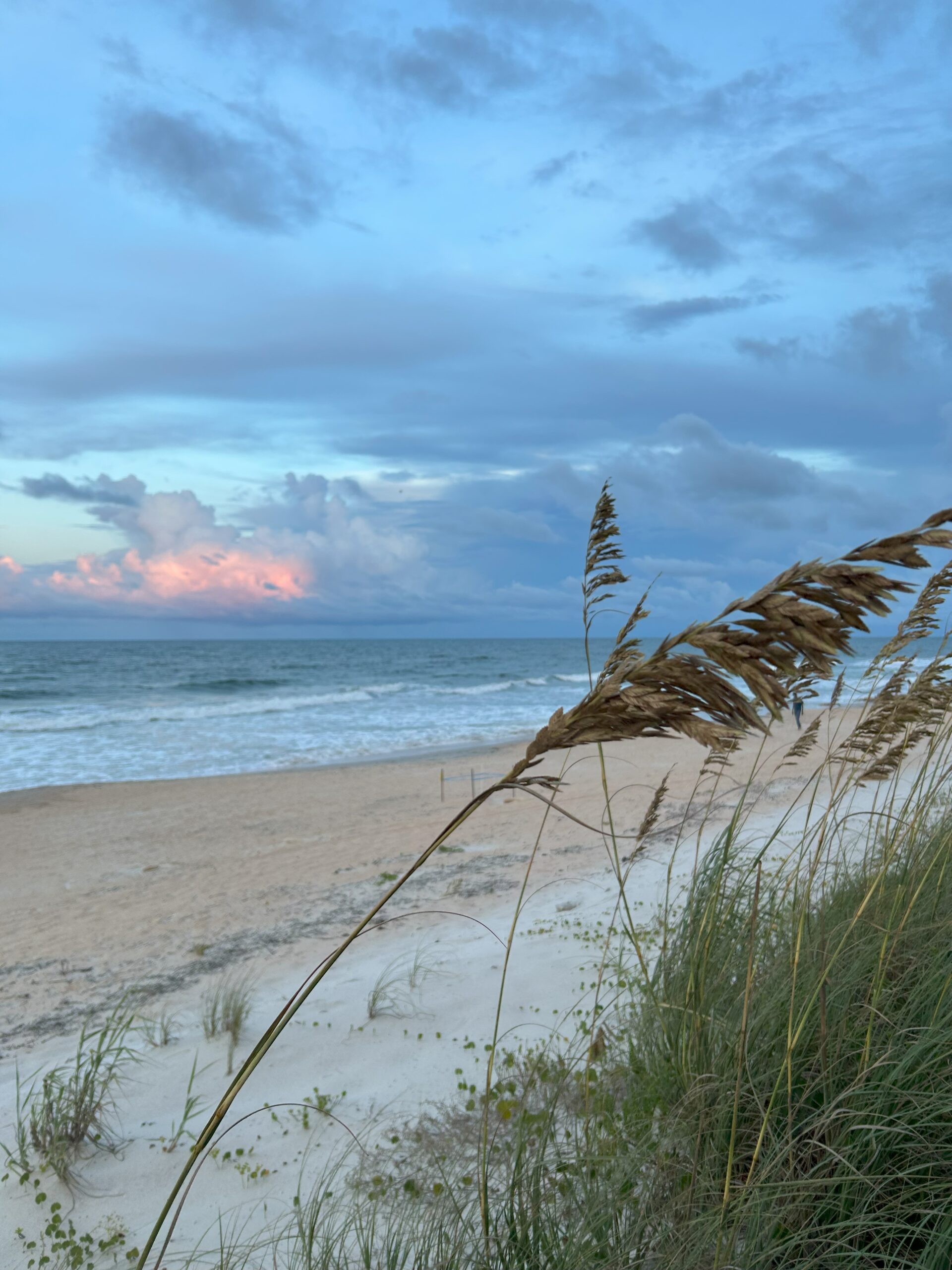 Nonverbal Communication: More Than Words