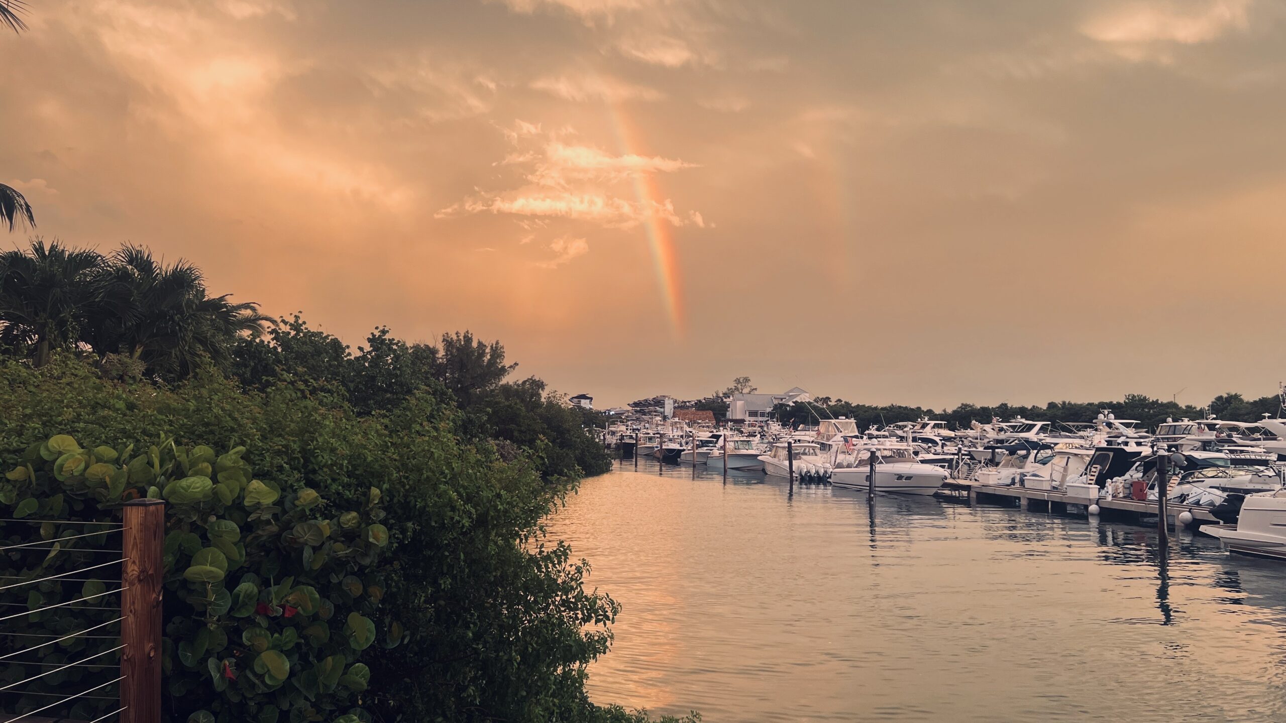 Inside Accent Modification: What Practice Really Looks Like